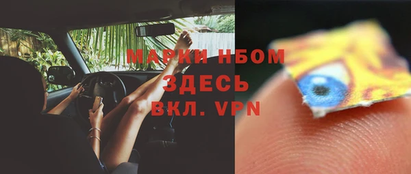 ешки Аркадак