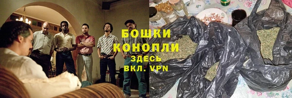 ешки Аркадак